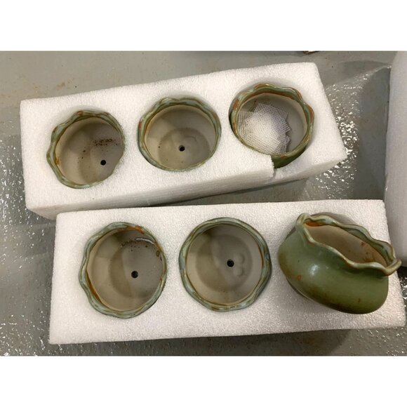 Cute Set of Olive Mini Planters / Flower Pots - Simple Scalloped Edge - Set of 6 - Picture 5 of 8